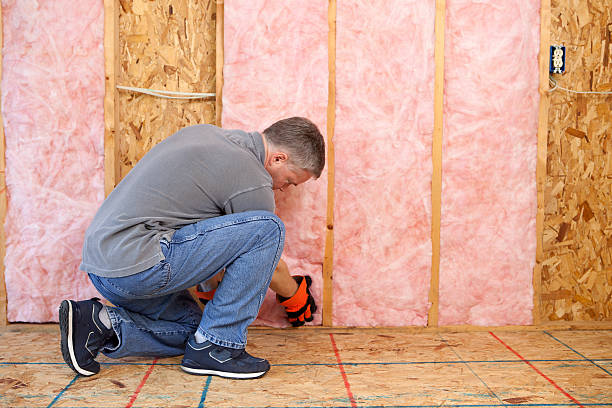 Best Basement Insulation  in Minerva, OH